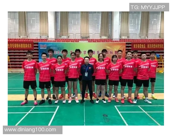 南京羽毛球队在锦标赛中的精彩表现与实力分析